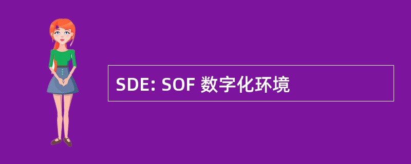 SDE: SOF 数字化环境