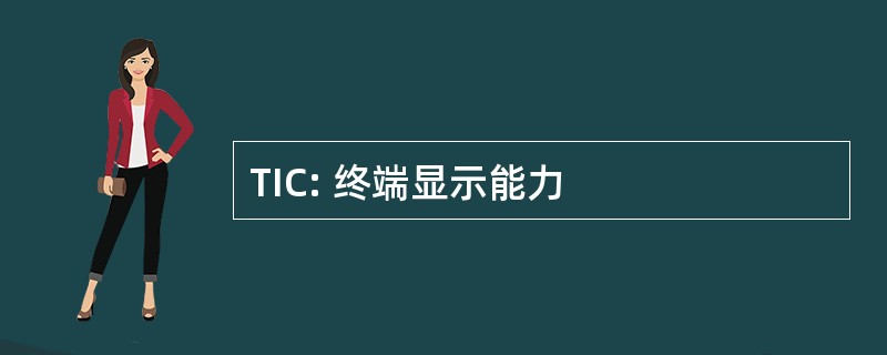 TIC: 终端显示能力