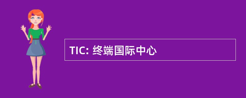 TIC: 终端国际中心