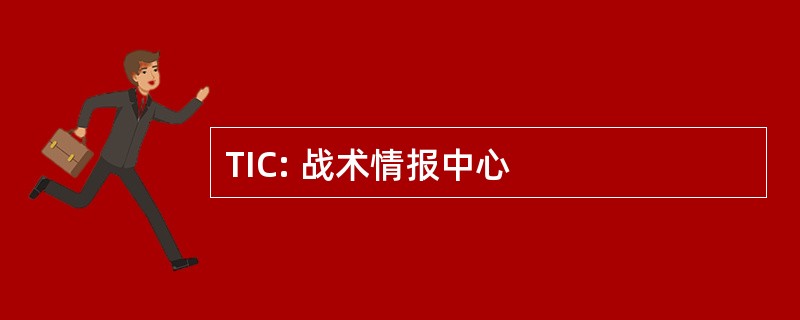 TIC: 战术情报中心