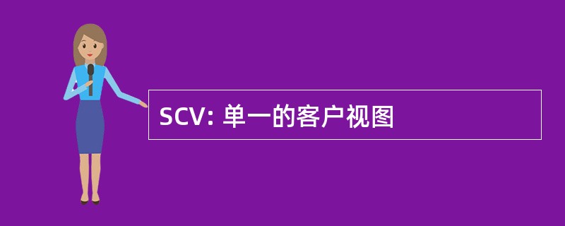 SCV: 单一的客户视图