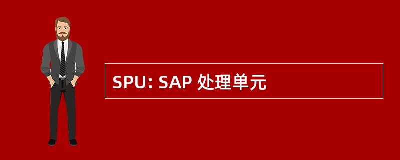 SPU: SAP 处理单元