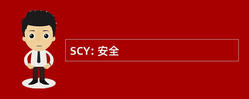 SCY: 安全