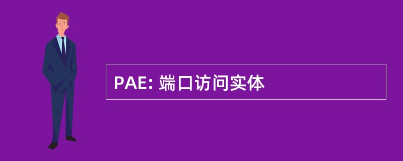 PAE: 端口访问实体