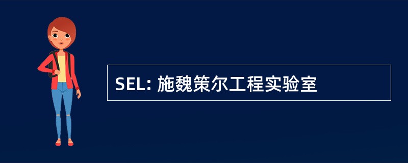 SEL: 施魏策尔工程实验室