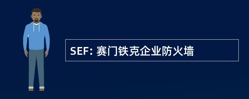 SEF: 赛门铁克企业防火墙