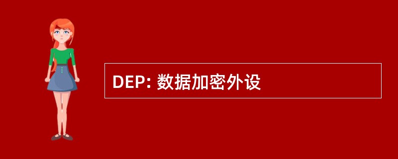 DEP: 数据加密外设