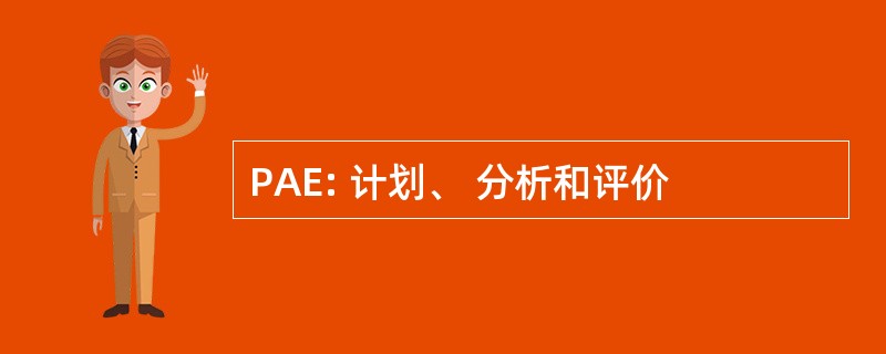 PAE: 计划、 分析和评价