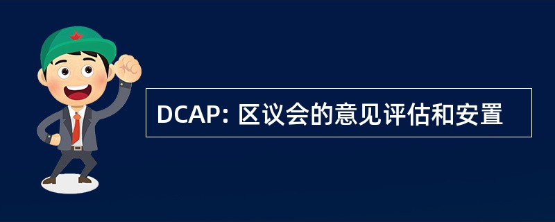 DCAP: 区议会的意见评估和安置