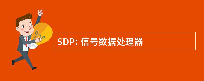 SDP: 信号数据处理器