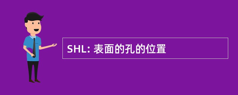 SHL: 表面的孔的位置