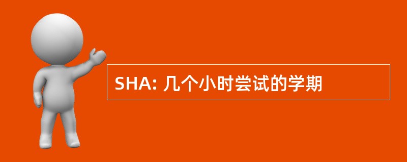 SHA: 几个小时尝试的学期