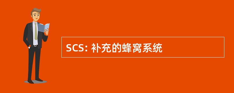 SCS: 补充的蜂窝系统