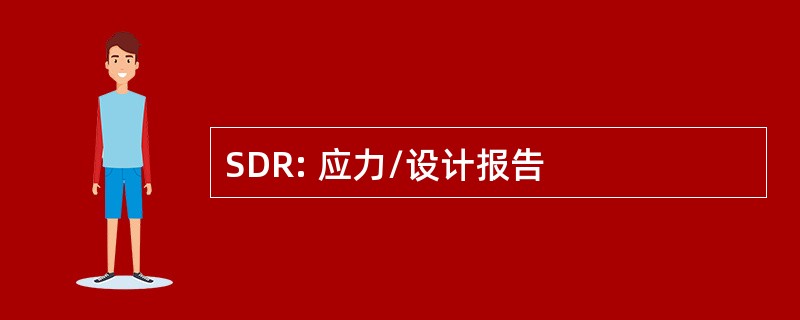 SDR: 应力/设计报告