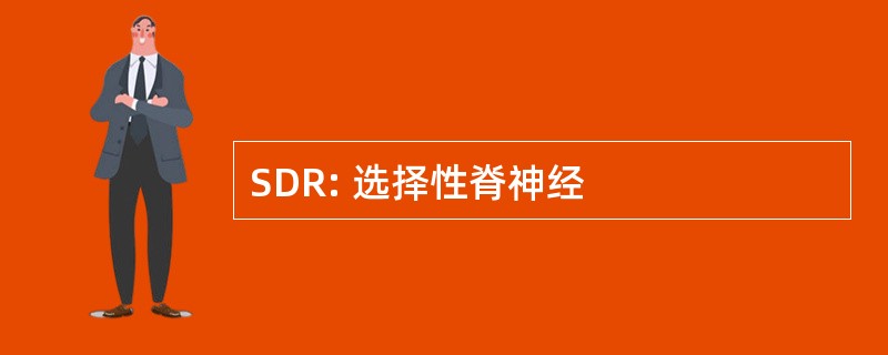 SDR: 选择性脊神经