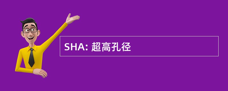 SHA: 超高孔径