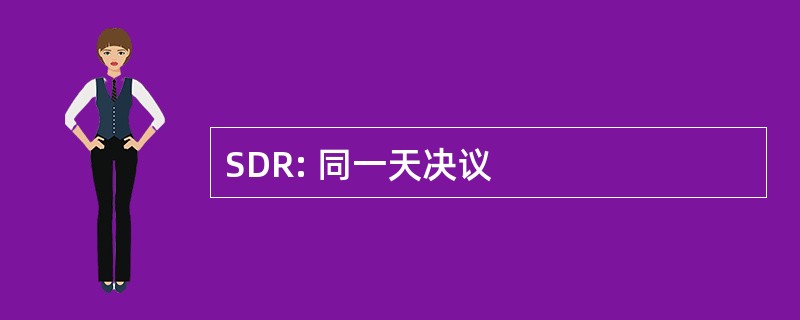 SDR: 同一天决议