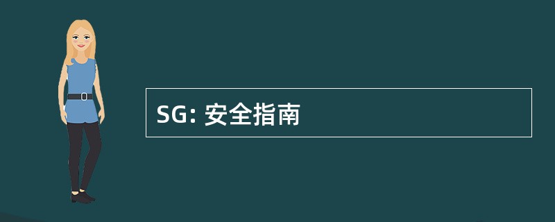 SG: 安全指南