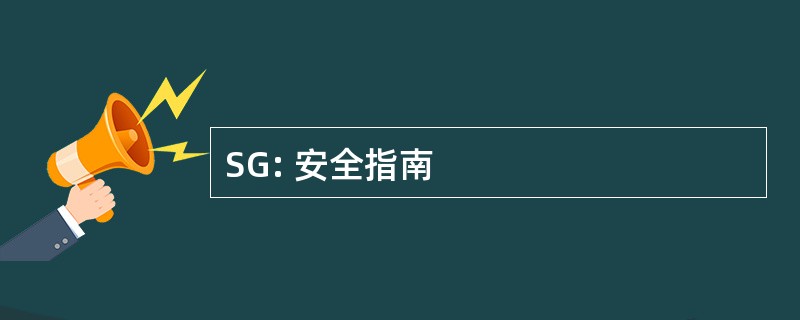 SG: 安全指南