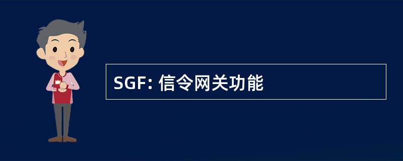 SGF: 信令网关功能