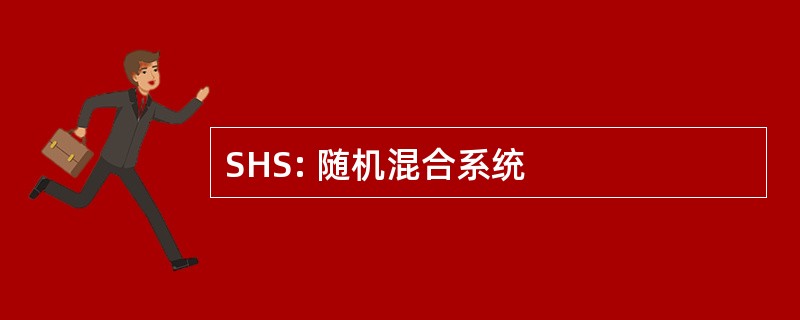 SHS: 随机混合系统