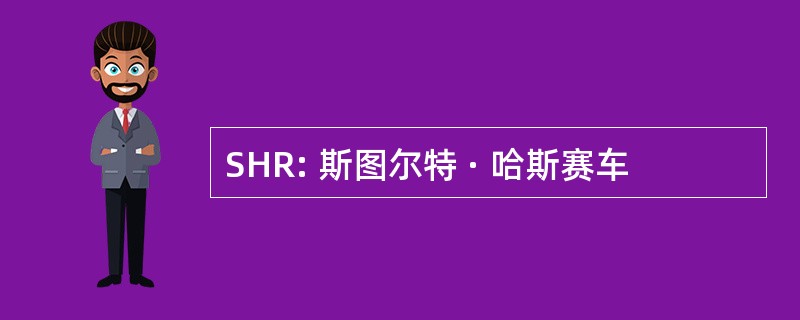 SHR: 斯图尔特 · 哈斯赛车