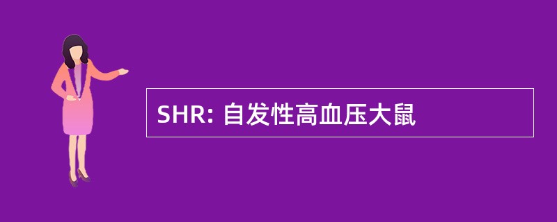 SHR: 自发性高血压大鼠