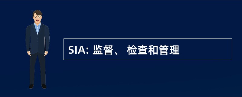 SIA: 监督、 检查和管理