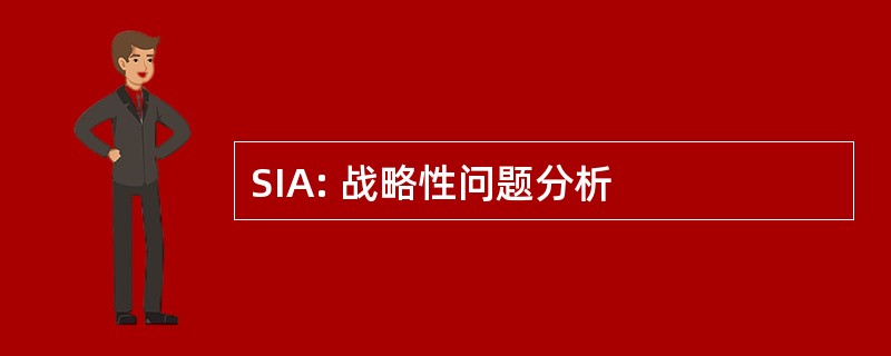 SIA: 战略性问题分析