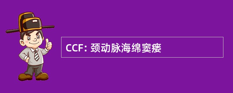 CCF: 颈动脉海绵窦瘘