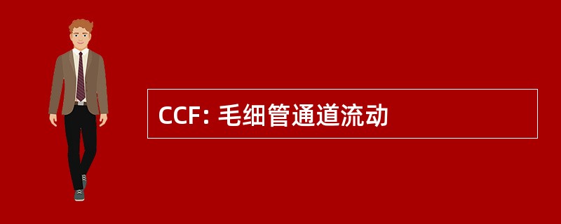 CCF: 毛细管通道流动