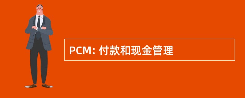 PCM: 付款和现金管理