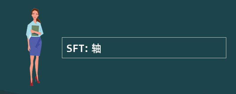 SFT: 轴