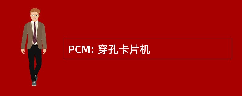 PCM: 穿孔卡片机