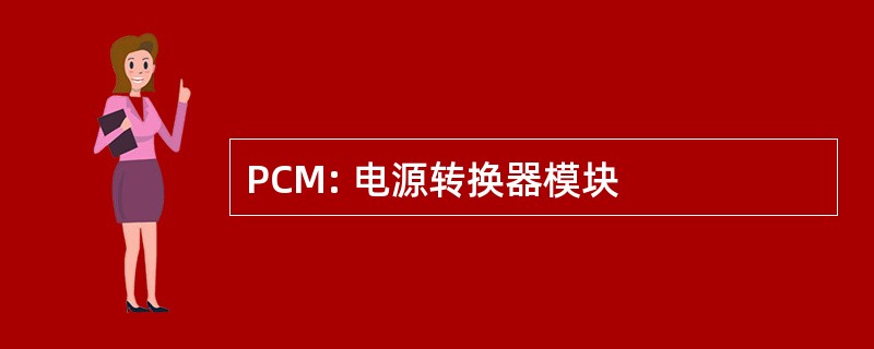 PCM: 电源转换器模块