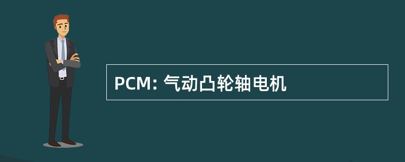 PCM: 气动凸轮轴电机