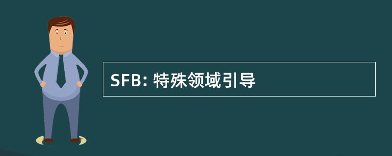 SFB: 特殊领域引导