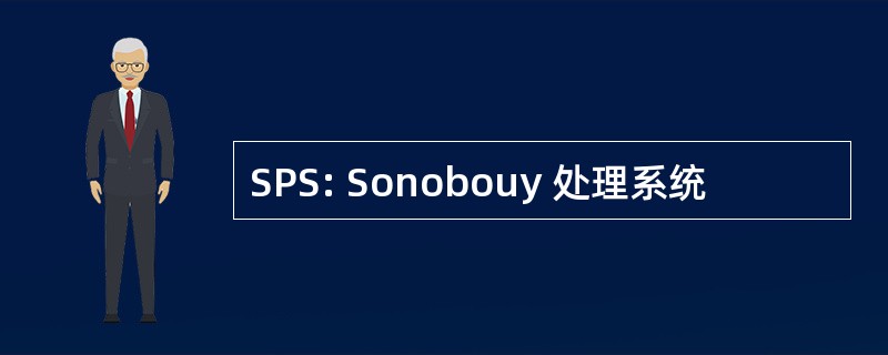 SPS: Sonobouy 处理系统