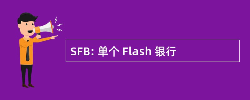 SFB: 单个 Flash 银行