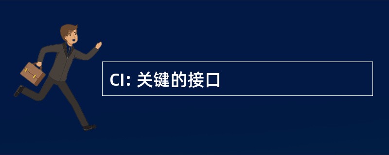 CI: 关键的接口