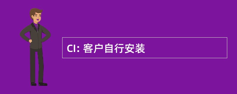 CI: 客户自行安装