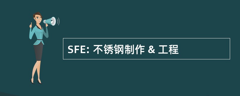 SFE: 不锈钢制作 & 工程