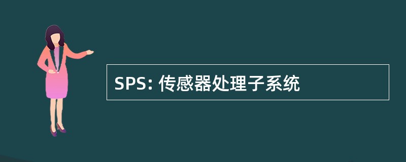 SPS: 传感器处理子系统