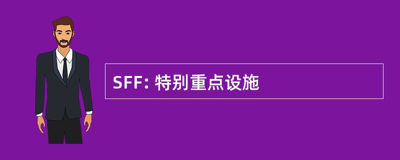 SFF: 特别重点设施