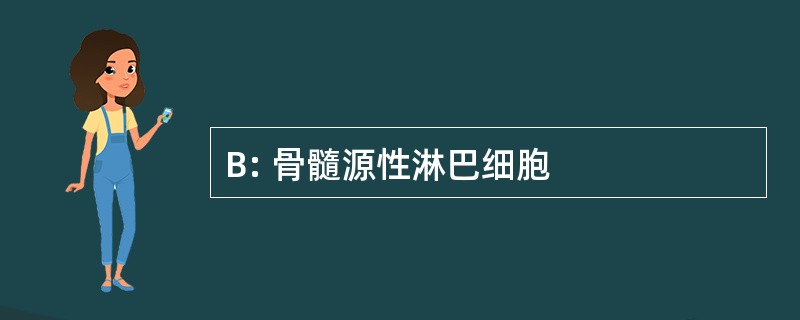 B: 骨髓源性淋巴细胞