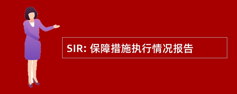 SIR: 保障措施执行情况报告