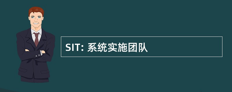 SIT: 系统实施团队