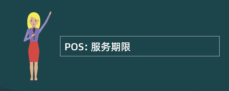 POS: 服务期限