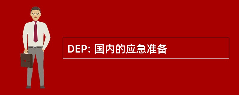 DEP: 国内的应急准备