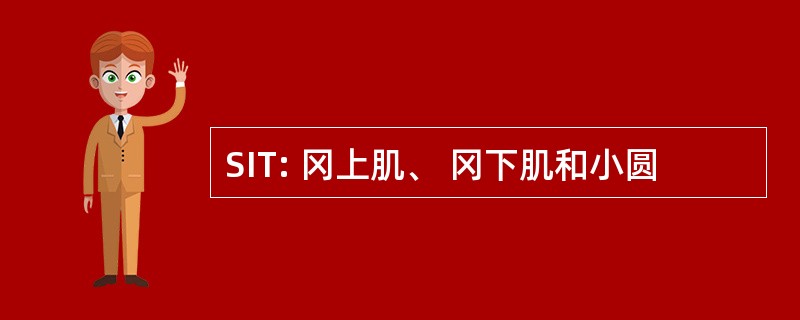 SIT: 冈上肌、 冈下肌和小圆